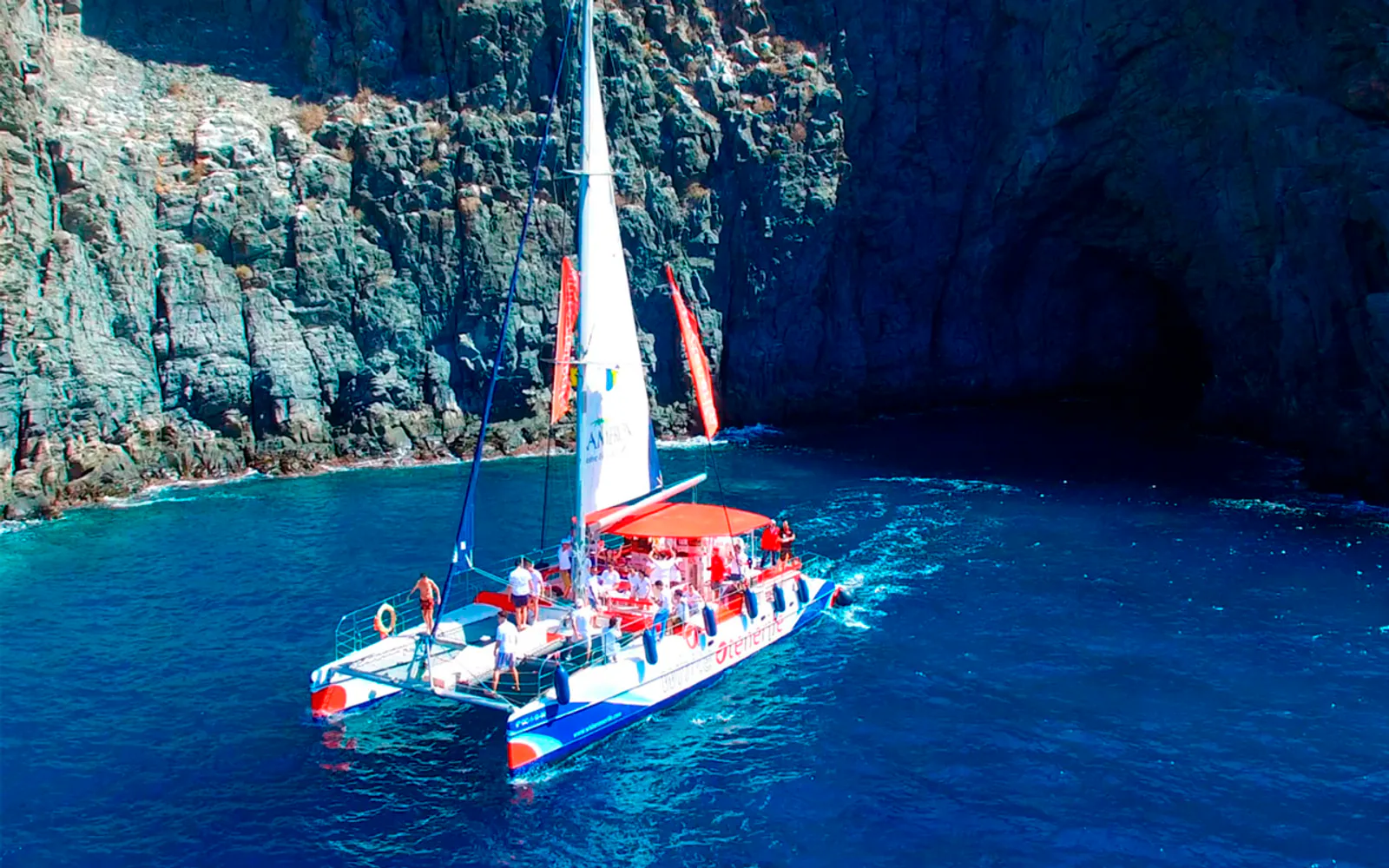 Baleines et dauphins en catamaran écologique · Tenerife
