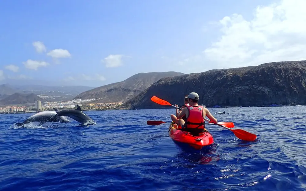 Volcanic coastline and clear water near Palm-Mar, Tenerife