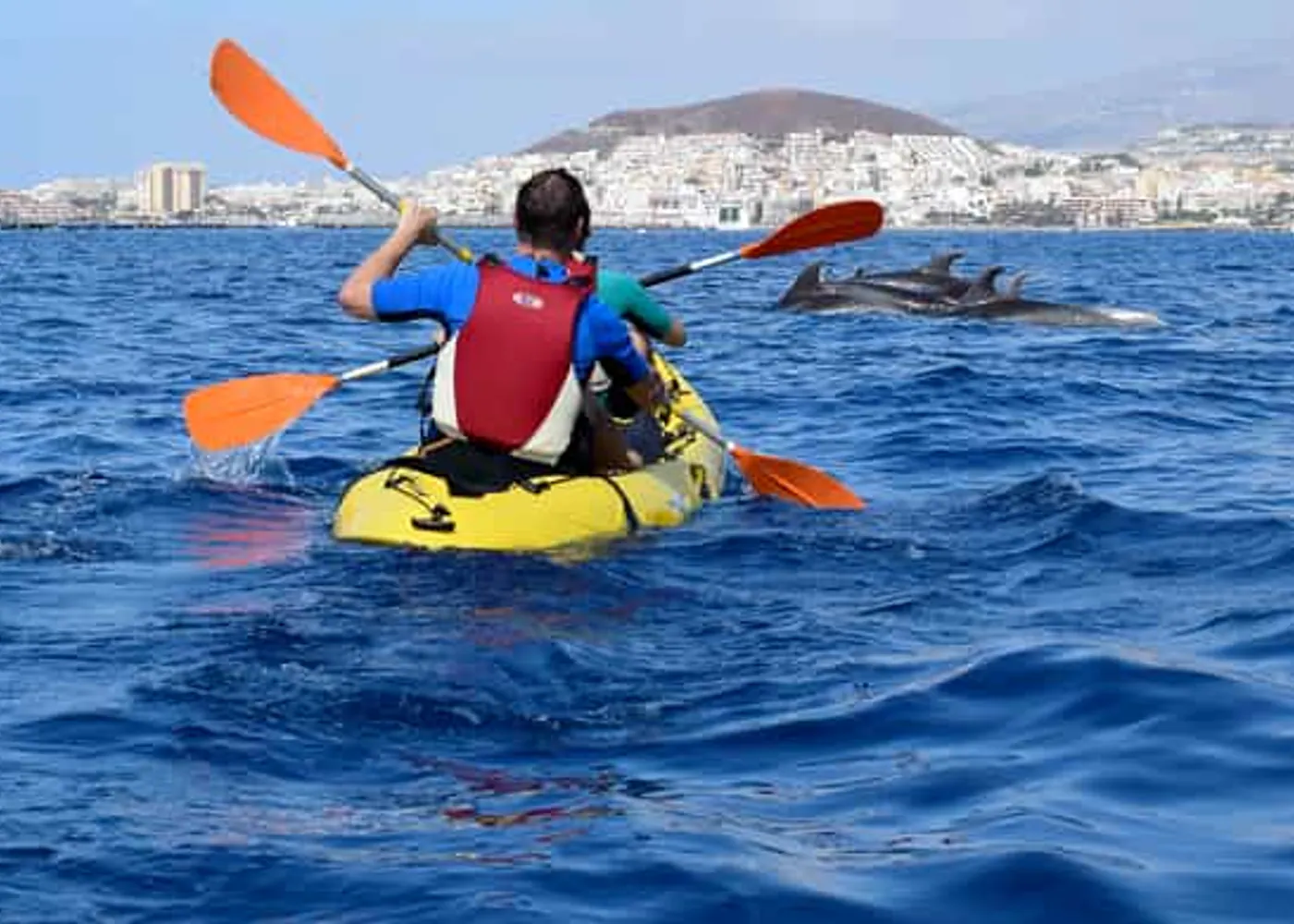 Kayak from Palm-Mar’s quieter shore