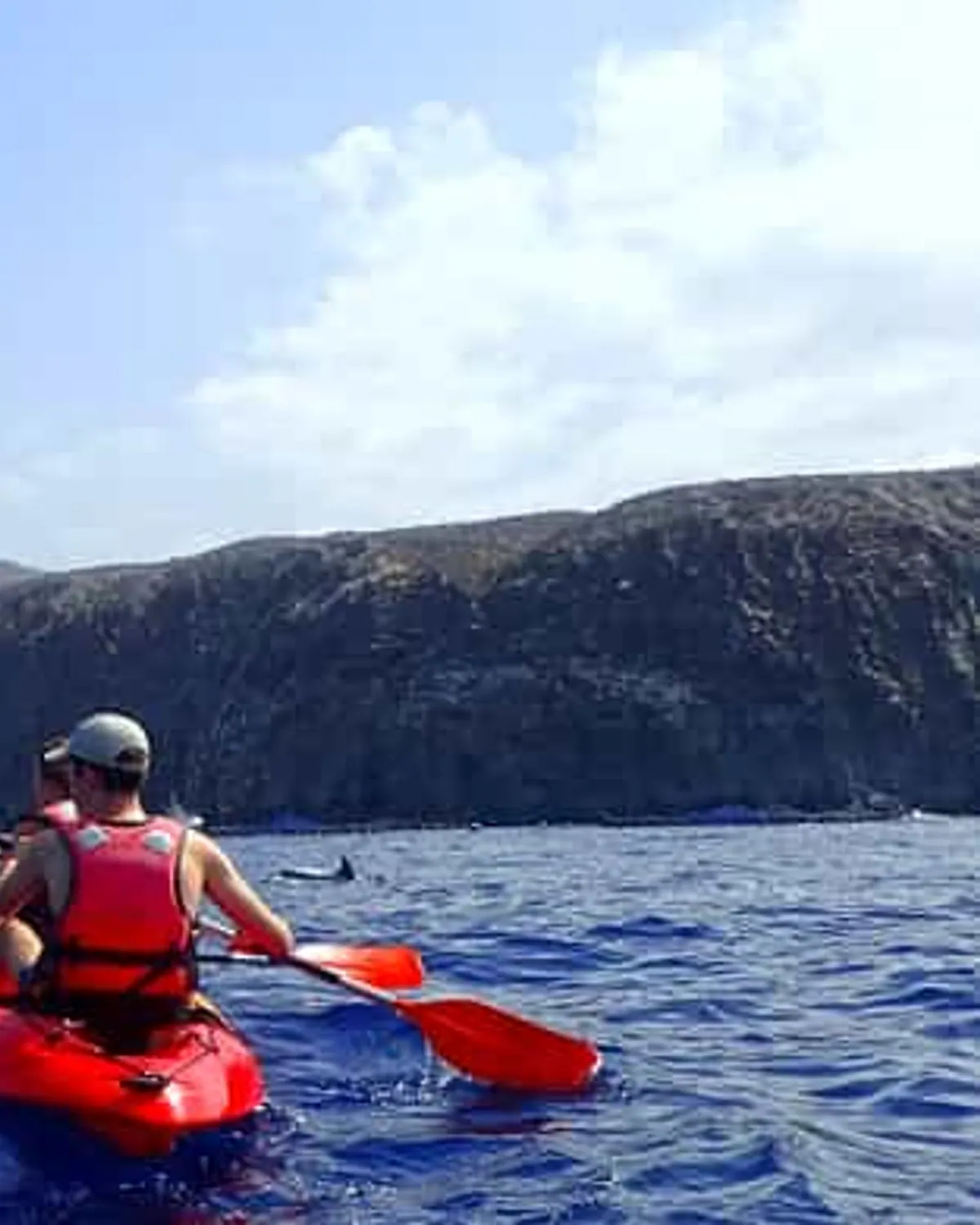 Kayak from Palm-Mar’s quieter shore