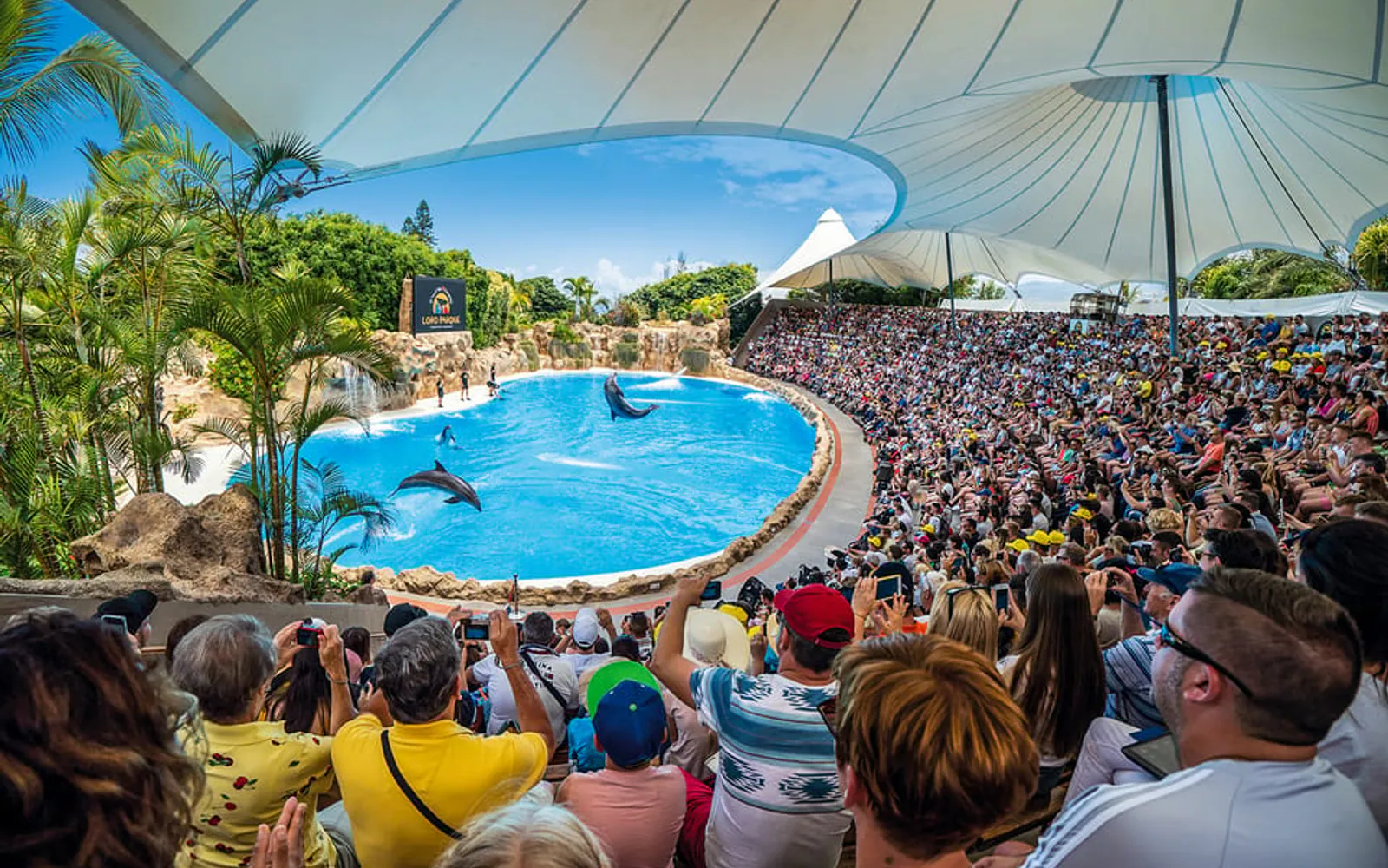Une journée à Loro Parque · Tenerife