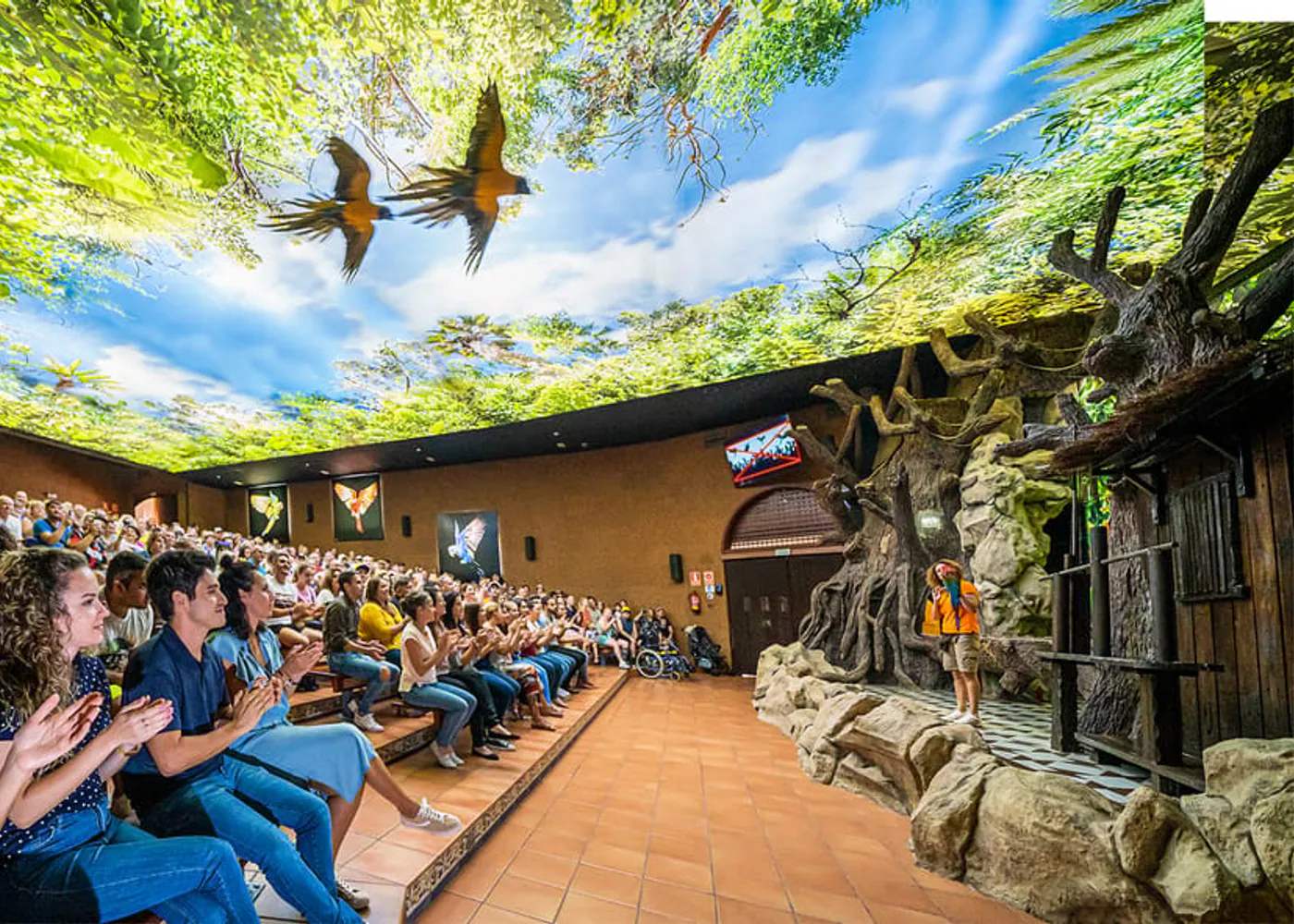 A day at Loro Parque