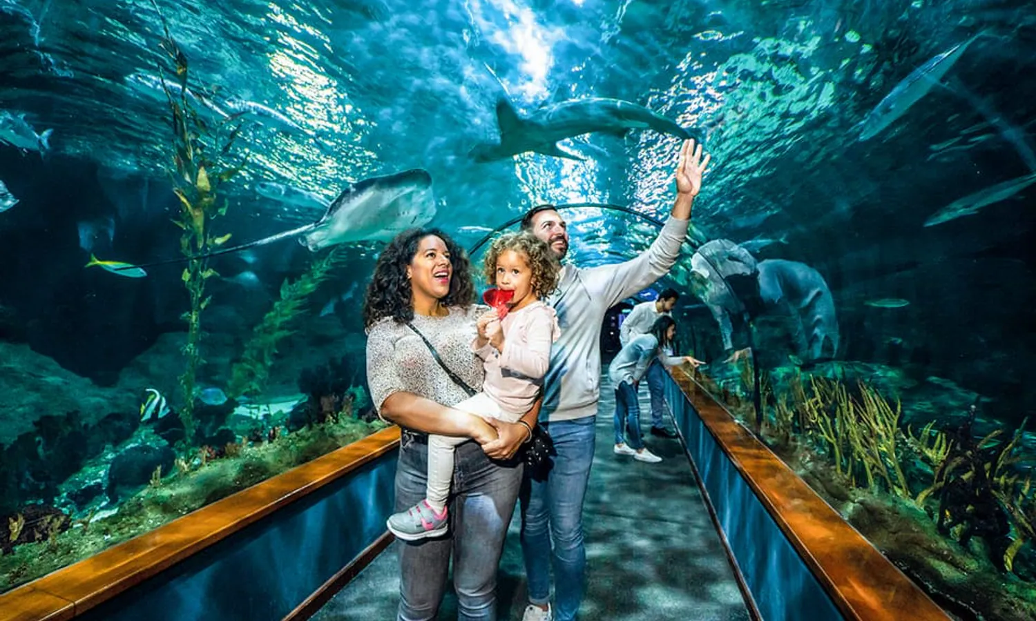 Ein Tag im Loro Parque