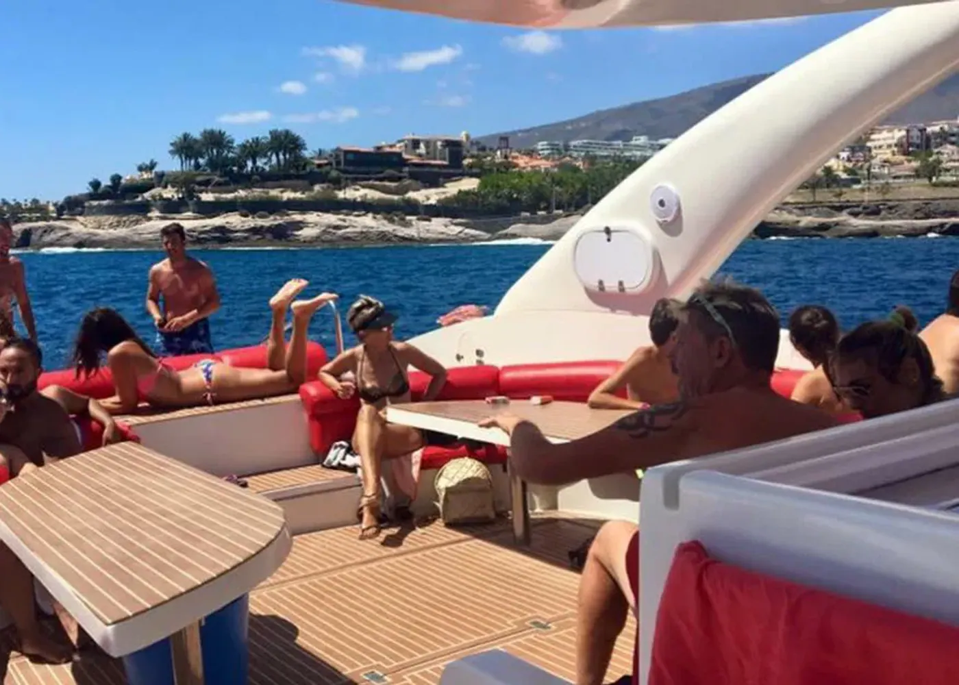 Luxury whale and dolphin cruise