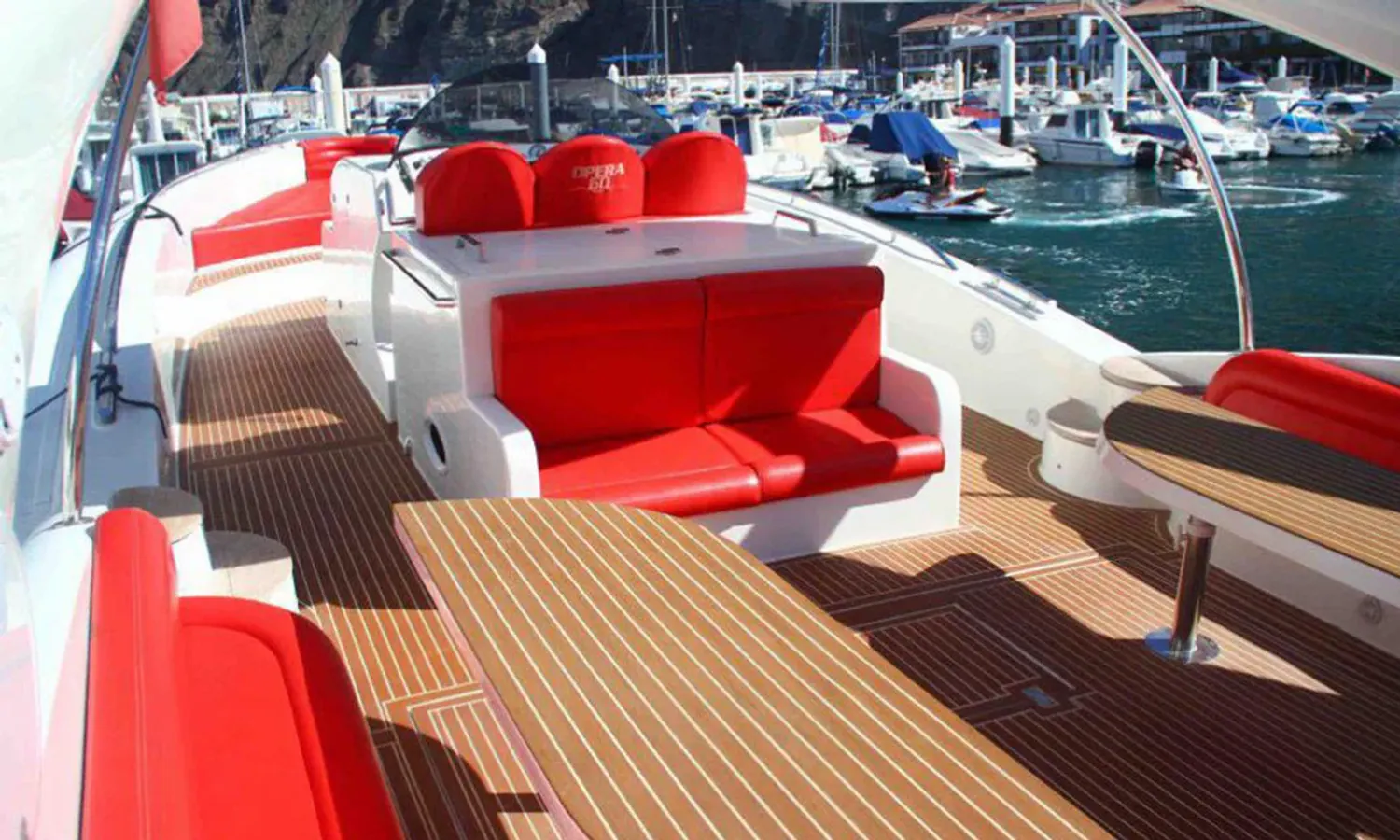 Luxury whale and dolphin cruise