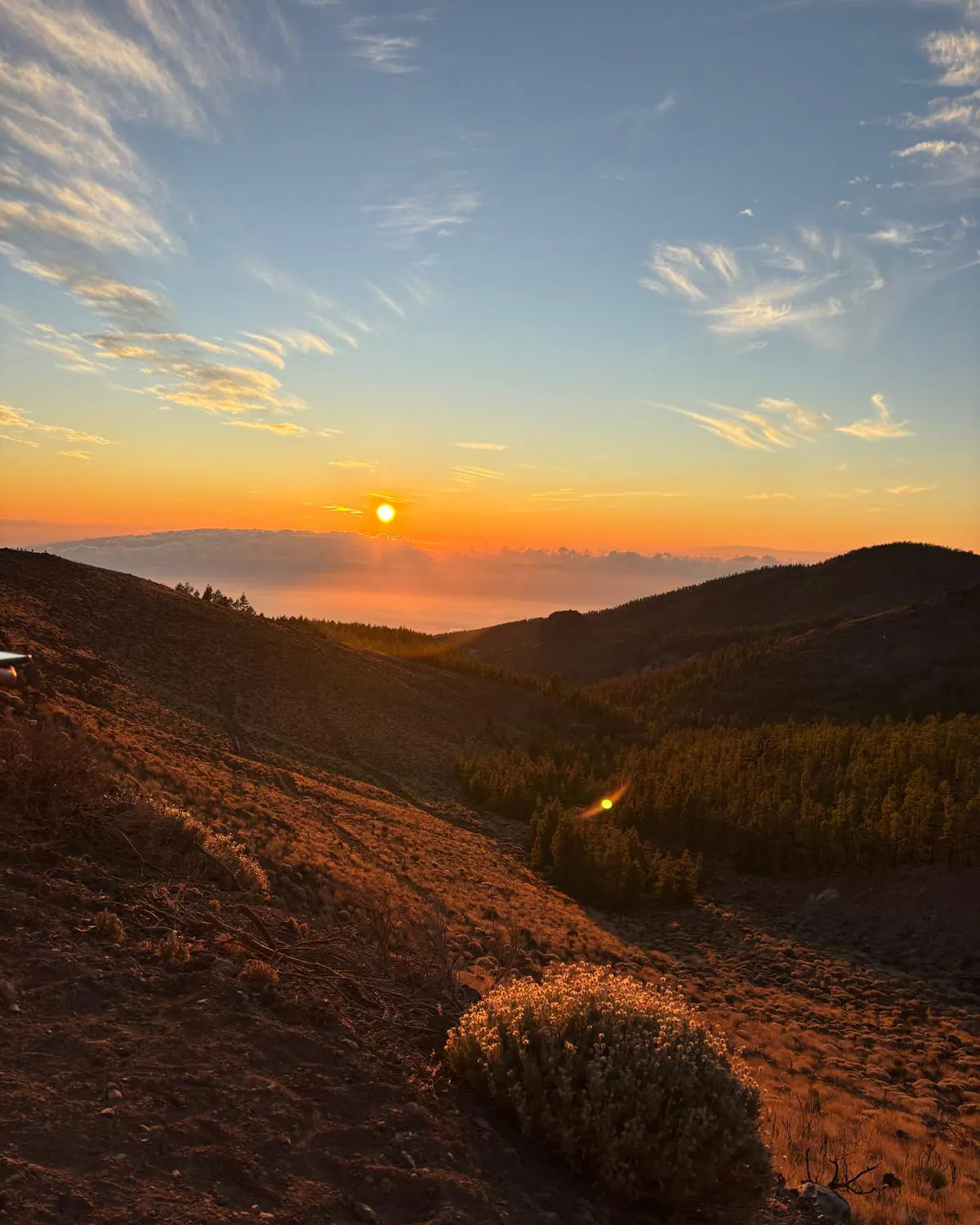 Across the Teide volcano by quad
