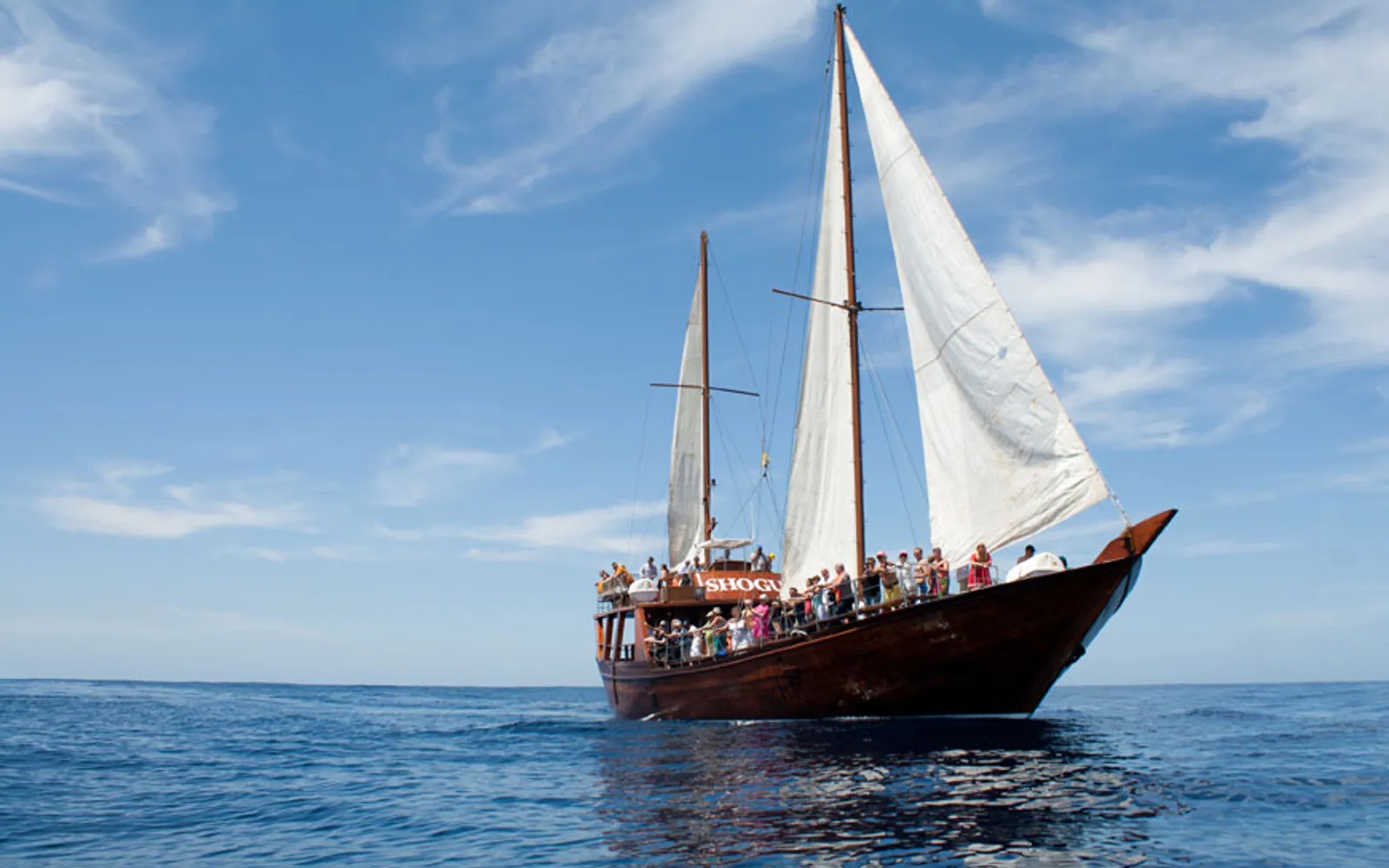 Baleines, voilier en bois et déjeuner · Tenerife