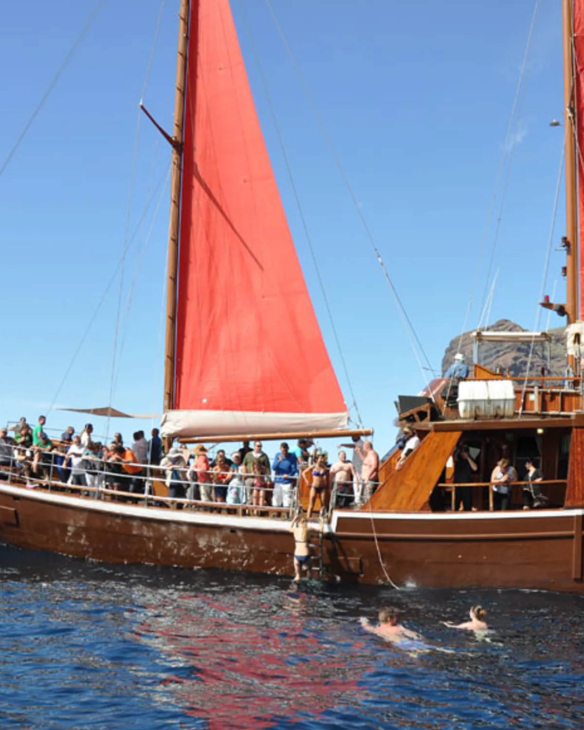 Whales, a wooden sailboat and lunch